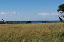 3 Days 2 Nights, Murchison Falls And Wildlife Safari 