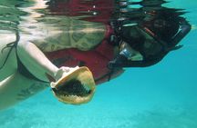 St Thomas Kayak and Sea Turtle Snorkel Excursion