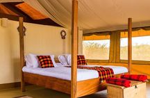 Private 3-Day Masai Mara Safari Adventure