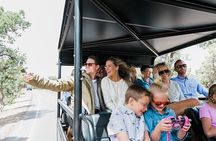Grand Canyon Landmarks Tour by Airplane with Optional Hummer Tour
