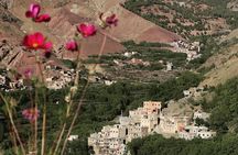 Marrakech: Atlas Mountains and 3 Valleys & Waterfalls Day Tour