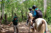 Xunantunich horseback riding tour