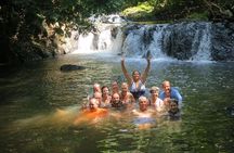 One Day Tour To Corcovado From Manuel Antonio