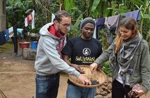  Marangu waterfall & Coffee making Cultural Tour | BURIGI CHATO SAFARIS CO LTD 