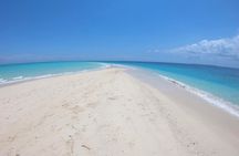 Full-day Prison Island and Nakupenda Sandbank with Lunch buffet