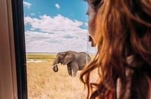 3-Day Taste of Tanzania Safari (Tarangire National park and Ngorongoro Crater) 