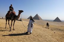 Private Half Day Trip Giza Pyramids Sphinx ,Camel Riding & lunch 