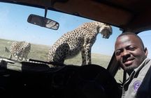 5 Days Tanzania Group Joining Safari, Tarangire/Serengeti/Ngorongoro Crater