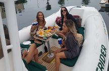 Private Dolphin and Whale Watching Tour in Newport Beach