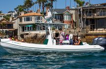 Private Dolphin and Whale Watching Tour in Newport Beach