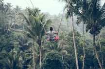 Private Bali Car Charter with Driver up to 6 People 