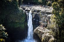 Best of Bali : Bali Temples , Rice Terrace and Waterfall Tour 