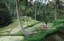 Private Bali Car Charter with Driver up to 6 People 