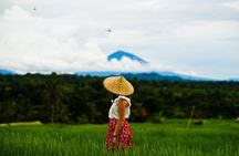 Private Tour: Bali Temple and Countryside Tour