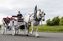 Grand Horse-Drawn Carriage Tour of Victoria