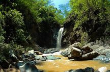Jungle HorseBack Adventure to Las Palmas Waterfall All Included 
