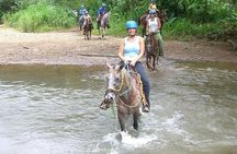 Jungle HorseBack Adventure to Las Palmas Waterfall All Included 