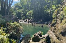 Full-Day Tinajas Hiking to El Yunque Rainforest with Transport
