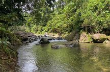 Full-Day Tinajas Hiking to El Yunque Rainforest with Transport