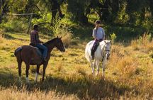 Horseback Small-Group Trail Rides in Muldersdrift