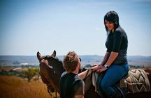 Horseback Small-Group Trail Rides in Muldersdrift