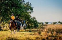 Horseback Small-Group Trail Rides in Muldersdrift