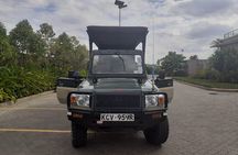Half-Day Private Tour in Open Jeep at Nairobi Park 