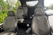 Half-Day Private Tour in Open Jeep at Nairobi Park 