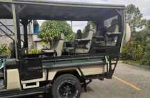 Half-Day Private Tour in Open Jeep at Nairobi Park 