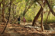 Half day surf and adventure in Montezuma