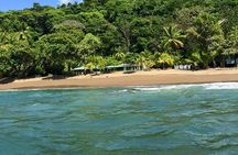 One Day Tour To Corcovado From San José