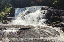 Private 4x4 Jeep: Waterfalls and Distillery (6h) by Jango Paraty
