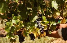 Private wine tasting & wine pairing tours