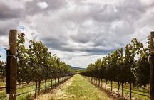 Private wine tasting & wine pairing tours