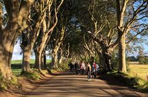 Giants Causeway, Rope Bridge, Carrickfergus Castle and Dark Hedges Tour