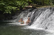 One Day Tour To Corcovado From San José