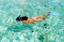 Coral Island by Speed boat from Phuket