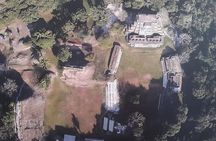 Monkeys and Maya Temples