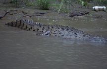 3-Day Tour of Magical Chiapas with Transportation