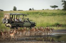 Hwange Park Big 5 Game Drive!