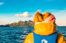 Evening Kayaking