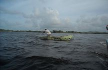 Private Boat Nature Tour of Limón Beach and Lagoon