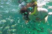 Speed Boat and Snorkeling in Punta Cana Bavaro