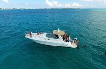 Private Yacht Rental Miami, Customizable Tours, Dolphin Watching