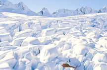 Twin Glacier Fox and Franz, Snow Landing (allow 30 mins - departing Fox Glacier)