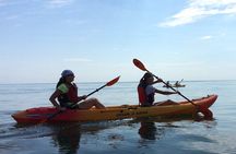 Kayak and SUP Private Tour