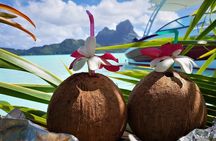 Reef Discovery Private Full Day Lagoon Tour & Water Lunch
