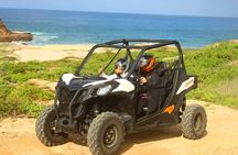 Viper Trail UTV Small-Group Experience in Cabo San Lucas