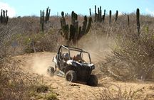 Viper Trail UTV Small-Group Experience in Cabo San Lucas