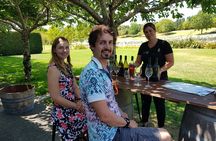 Kumeu Vineyard Shuttle Tour